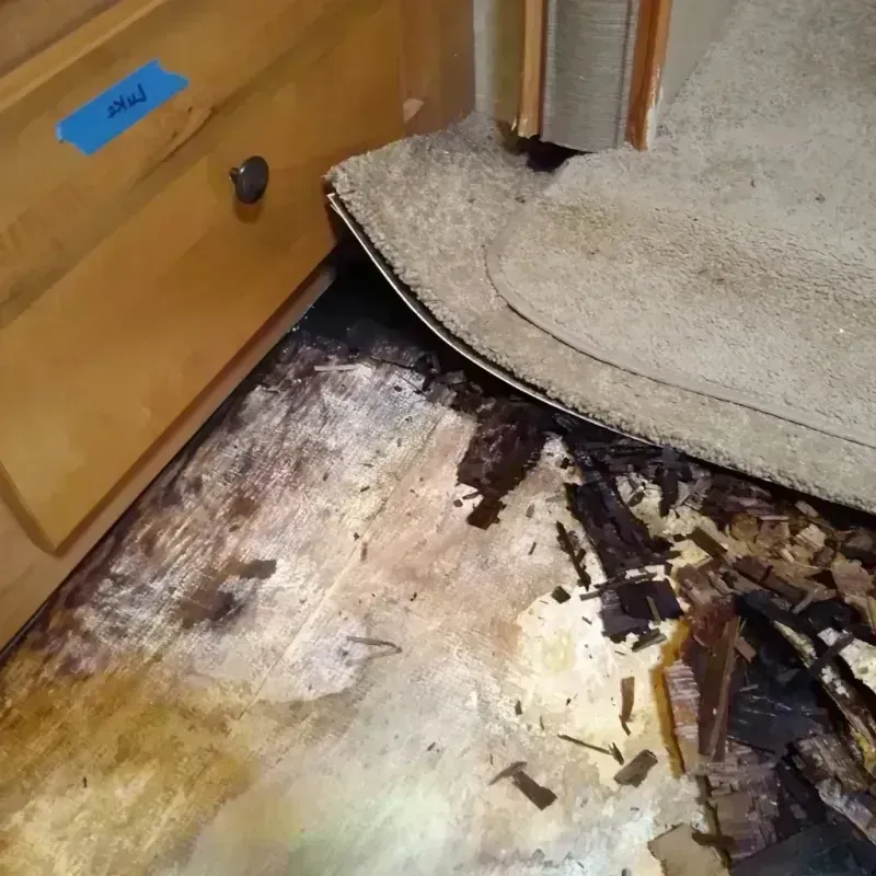 Wood Floor Water Damage in Concord, VA